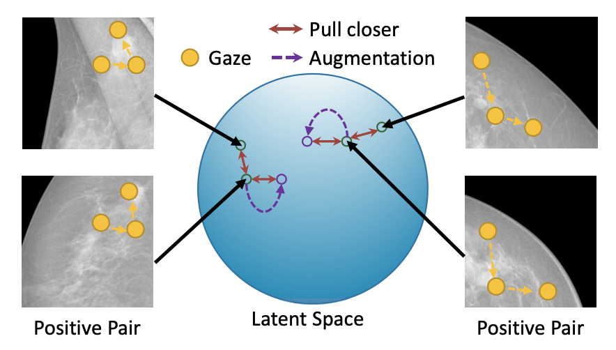 Self-supervision with Gaze